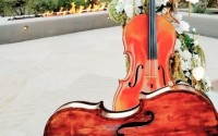 Phoenix Cello