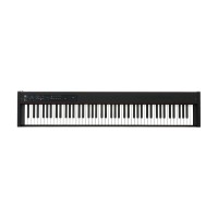 Korg D1 Digital Piano