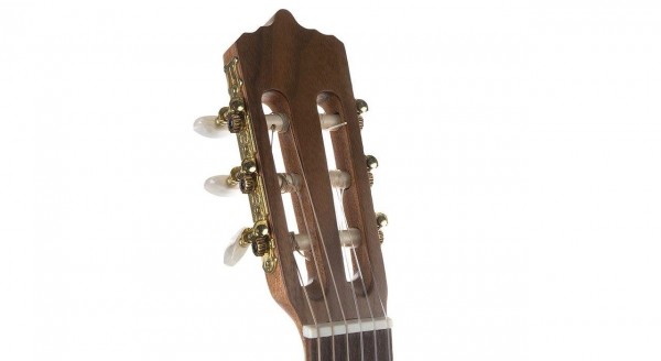 گیتار پارسی مدل M6