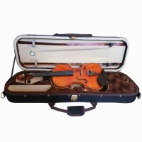 RENATO R-220 Size 4/4 Violin