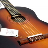 Delshad DM1 Classical Guitar