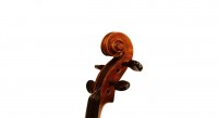 TF Coreli Size 4/4 Violin