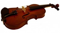 RENATO 120 Size 4/4 Violin