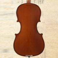 Karl Hofner AS 060 V Size 4/4 Acoustic Violin