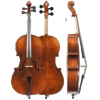 Amati 200 size 2/4 violin