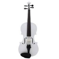 bach Siz4 4/4  Acoustic Violin
