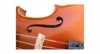 PHOENIX VT606 Size 4/4 violin