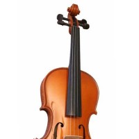Mavis 1411 Size 4/4 Violin