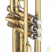 Chateau Trumpet CTR-28AN