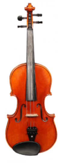 burgmuller V800  Size 4/4 Violin