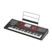 Korg Pa 700 Oriental Arranger Keyboard