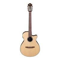 Ibanez AEG50N NT Acoustic Guitar