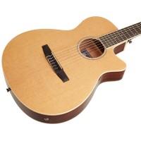 Ibanez AEG50N NT Acoustic Guitar