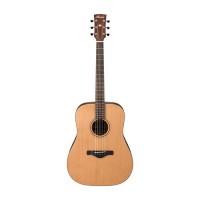 Ibanez AW65 LG Acoustic Guitar