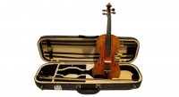 RENATO 520 4/4  Violin