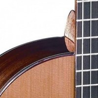 Almansa Cedro 403 Classical Guitar
