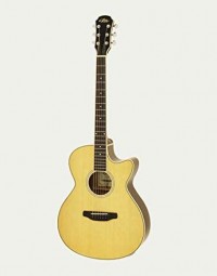 Aria FET-01STD NT Acoustic Guitar