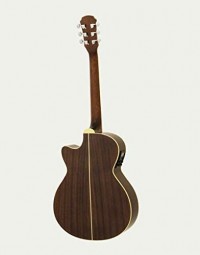 Aria FET-01STD NT Acoustic Guitar