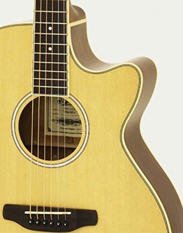 گیتار آکوستیک آریا مدل FET-01STD NT
