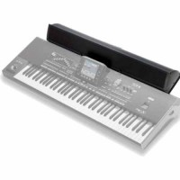 Korg Paas Keyboard Amplification System