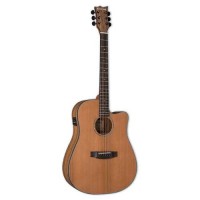 ESP LTD D-320E NS Acoustic Guitar