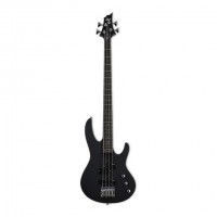 ESP LTD B10 Bass Guitar