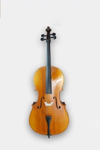 Gaffino C200 ViolinChello