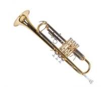 Trumpet Best Fun
