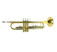 Trumpet Best Fun