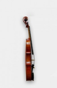 perly 420 Size3/4 violin