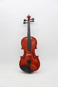 Moller 300 Acoustic Violin