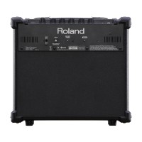 Roland Cube 10GX