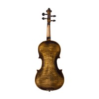 Phoenix VS301 Violin