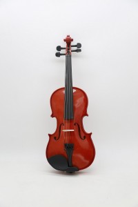 moller-300-acoustic-violin