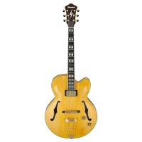 ibanez-pm2aa-guitar