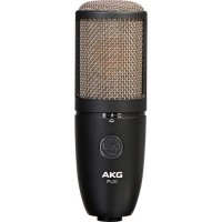 akg-p420