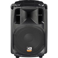Montarbo W440P Speaker