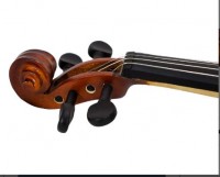 TF Student Size 1/8 Violin
