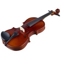 Stagg VN-4/4 EF Acoustic Violin