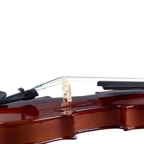 ویولن آکوستیک استگ مدل VN-4/4 EF