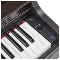 Digital Piano Yamaha Model YDP 145