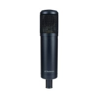 Microphone sE Electronics Model sE2200