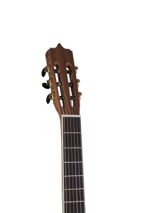 Parsi P40F Classical Guitar